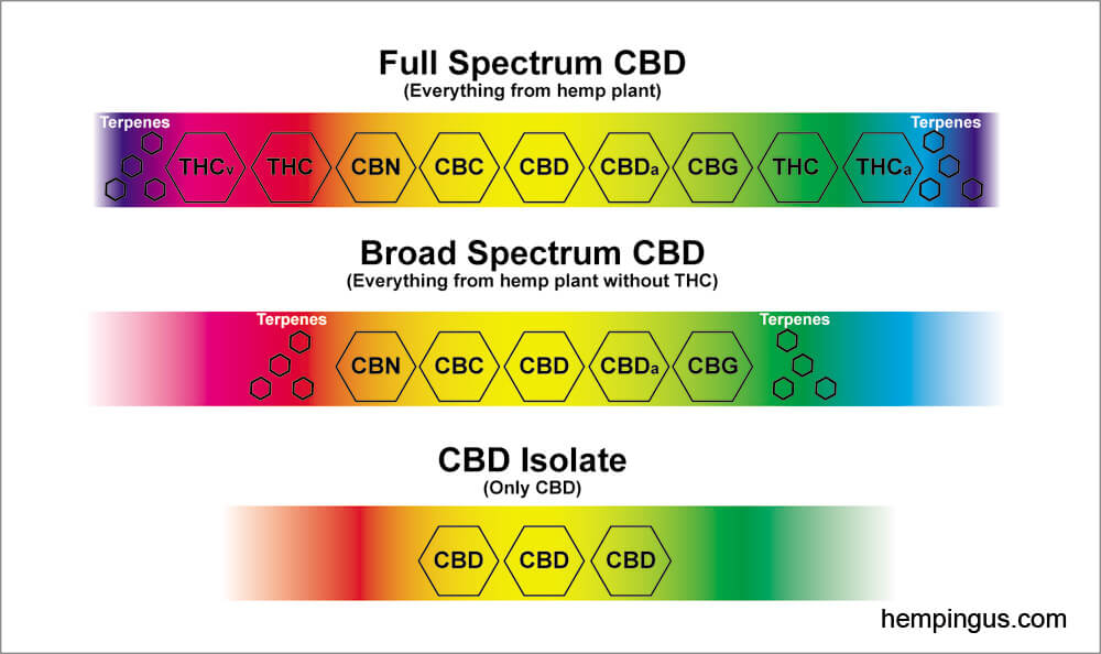 Full spectrum vs broad spectrum CBD