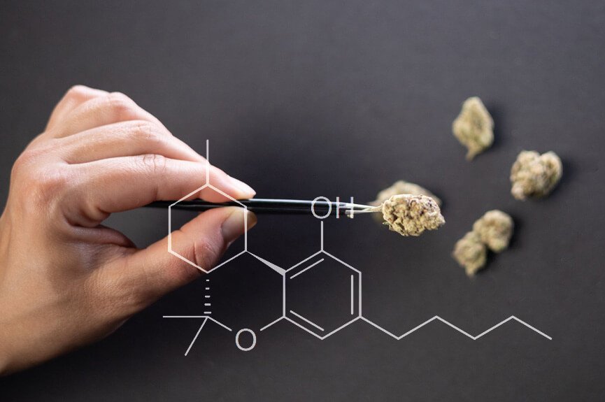 HHC Cannabinoid Potency Effects and Review