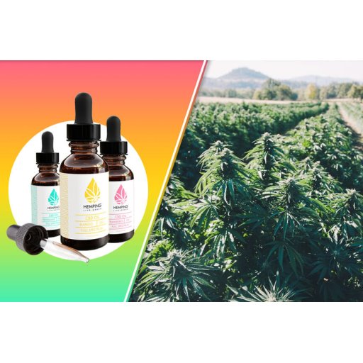 Why Is CBD Legal? Understanding USDA Hemp Regulations