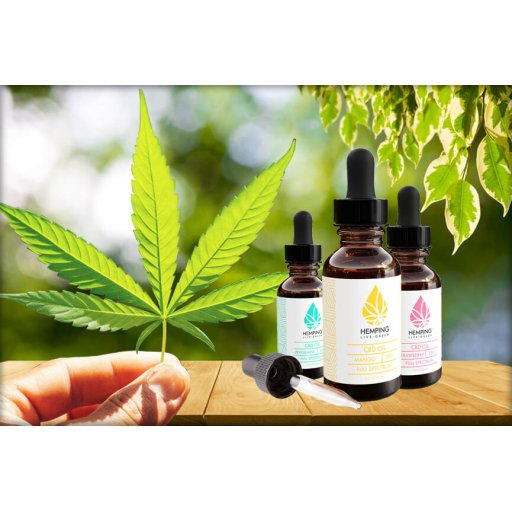 Does CBD Oil Expire Over Time? How to Store It?