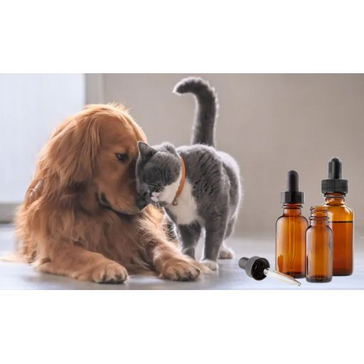 CBD Oil for Cats & Dogs – Is It Safe?