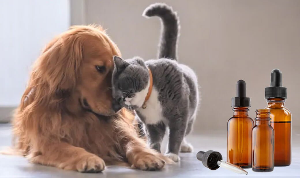 CBD Oil for Cats & Dogs – Is It Safe?